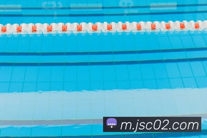 互动解说服务